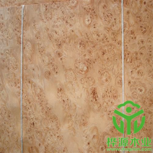 楓木樹(shù)榴木皮0.5mm價(jià)格實(shí)惠，楓木樹(shù)榴木皮質(zhì)量保證