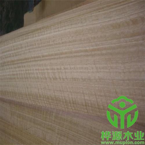 尤加利影木皮0.5mm品質(zhì)保證，排骨影尤加利裝修效果好