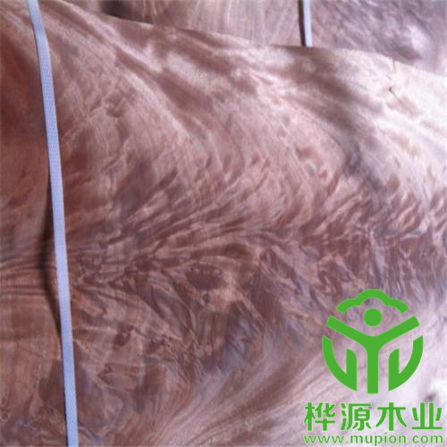 奧古曼樹(shù)杈木皮價(jià)格優(yōu)惠，0.5mm樹(shù)杈木皮品質(zhì)好