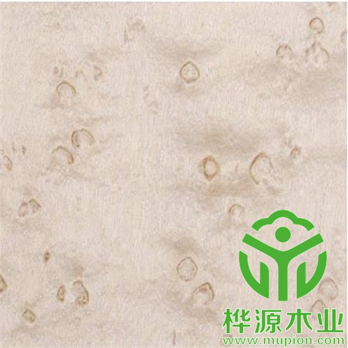 雀眼染色木皮0.5mm價(jià)格實(shí)惠 ，染色木皮廠(chǎng)家直銷(xiāo)